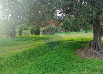 Giardino - Rustico contrada deserto, Comiso - foto 13