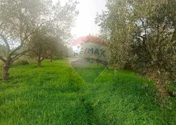 Giardino - Rustico contrada deserto, Comiso - foto 15