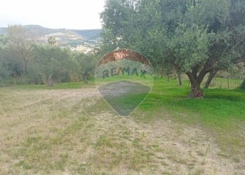 Giardino - Rustico contrada deserto, Comiso - foto 18