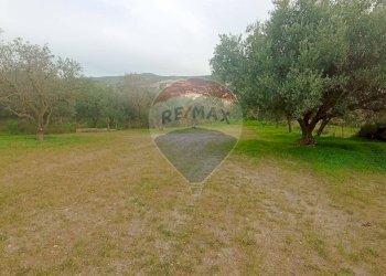 Giardino - Rustico contrada deserto, Comiso - foto 19