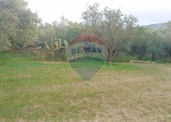 Giardino - Rustico contrada deserto, Comiso - foto 20