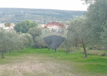 Non correlato - Rustico contrada deserto, Comiso - foto 21