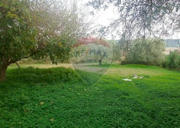 Giardino - Rustico contrada deserto, Comiso - foto 25