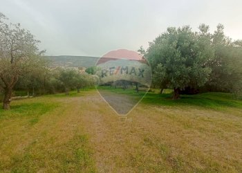 Giardino - Rustico contrada deserto, Comiso - foto 27