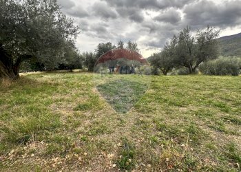 Giardino - Terreno edificabile Località Pagnotto, Pretoro - foto 3