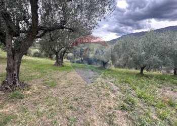 Vista delle montagne - Terreno edificabile Località Pagnotto, Pretoro - foto 11