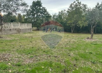 Giardino - Terreno edificabile Località Crocifisso, Pretoro - foto 1