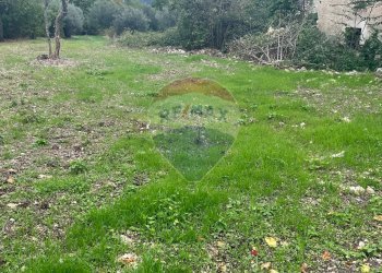 Giardino - Terreno edificabile Località Crocifisso, Pretoro - foto 3