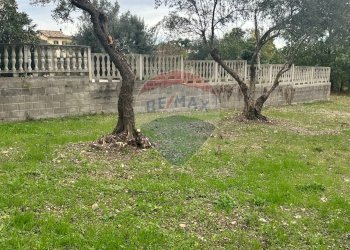 Giardino - Terreno edificabile Località Crocifisso, Pretoro - foto 4