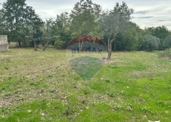 Giardino - Terreno edificabile Località Crocifisso, Pretoro - foto 5