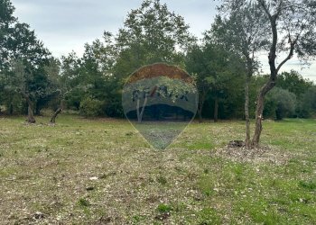 Giardino - Terreno edificabile Località Crocifisso, Pretoro - foto 6