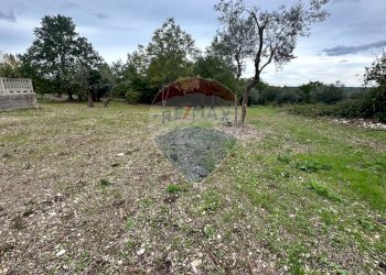 Giardino - Terreno edificabile Località Crocifisso, Pretoro - foto 7