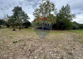 Giardino - Terreno edificabile Località Crocifisso, Pretoro - foto 8