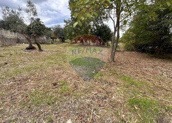 Giardino - Terreno edificabile Località Crocifisso, Pretoro - foto 10