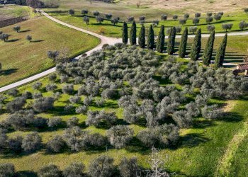 Foto 20 - Villa Via di Spazzavento
 
26, Scarperia e San Piero - photo 20