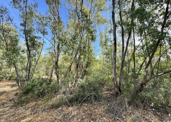 Foto 1 - Terreno agricolo Strada vicinale nuraghe, San Vito - foto 1