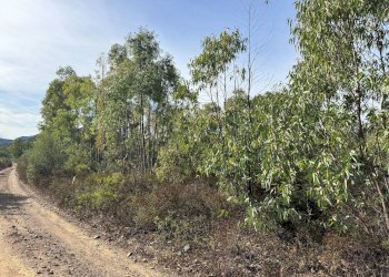 Foto 4 - Terreno agricolo Strada vicinale nuraghe, San Vito - foto 4