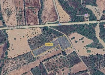 Foto 10 - Terreno agricolo Strada vicinale nuraghe, San Vito - foto 10