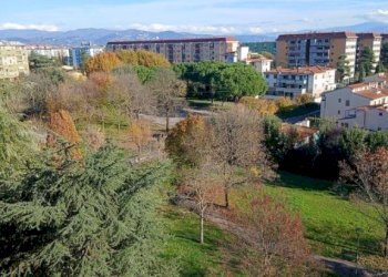 Vista - Appartamento via Donato Bramante, Firenze - foto 23