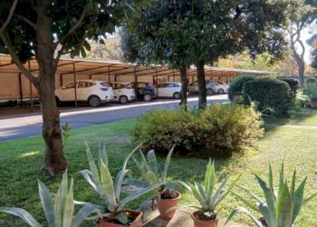 Giardino - Appartamento via Donato Bramante, Firenze - foto 26