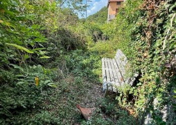 Giardino - Casa indipendente via Cadelè Bricollo, 68, Serra Riccò - foto 23