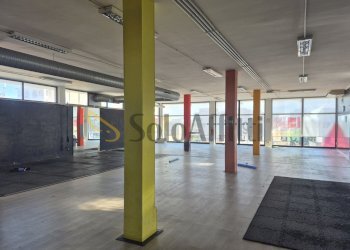 20251009_095608.jpg - Locale Commerciale Montesilvano - foto 11