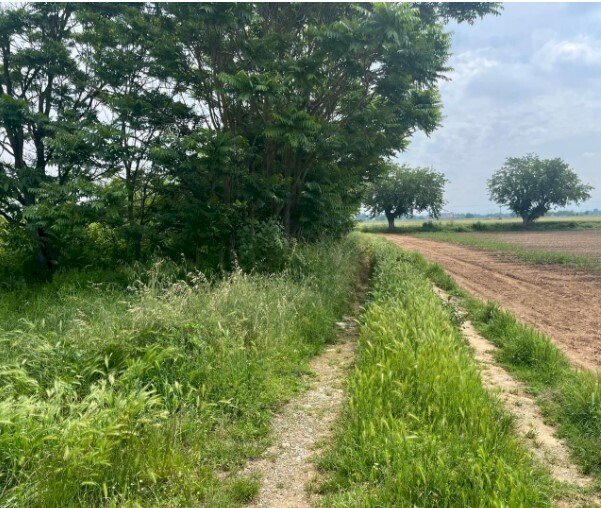 2.jpg - Building land at auction Via Frugarolo 94, Alessandria - photo 1