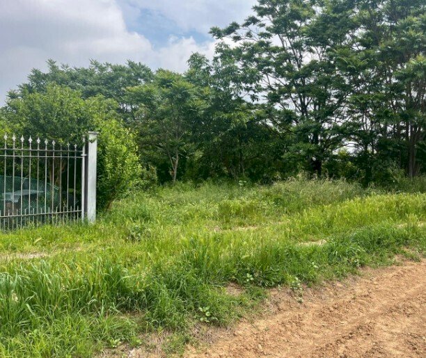 3.jpg - Building land at auction Via Frugarolo 94, Alessandria - photo 2