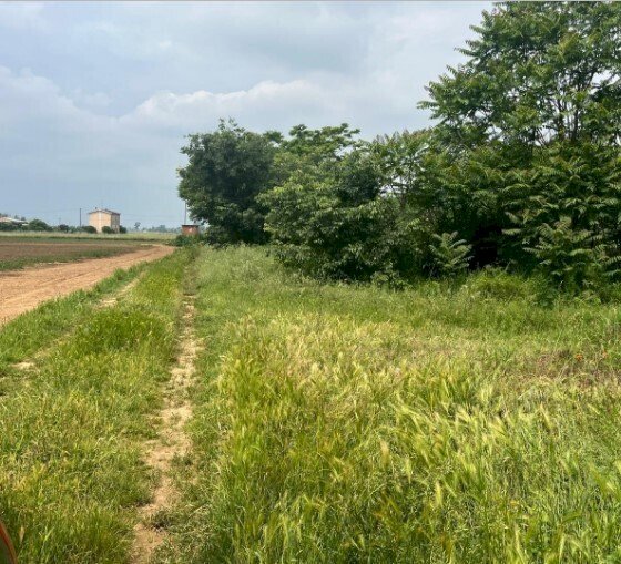 4.jpg - Building land at auction Via Frugarolo 94, Alessandria - photo 3