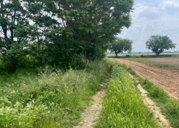 2.jpg - Terreno edificabile all'asta Via Frugarolo 94, Alessandria - foto 1