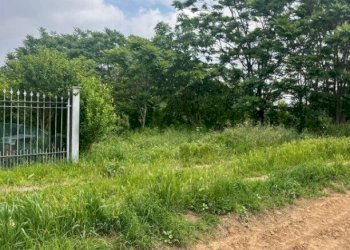 3.jpg - Terreno edificabile all'asta Via Frugarolo 94, Alessandria - foto 2