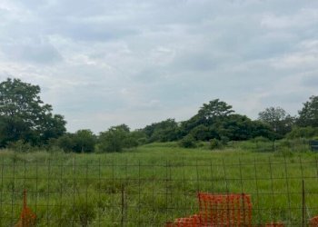 6.jpg - Terreno edificabile all'asta Via Frugarolo 94, Alessandria - foto 5