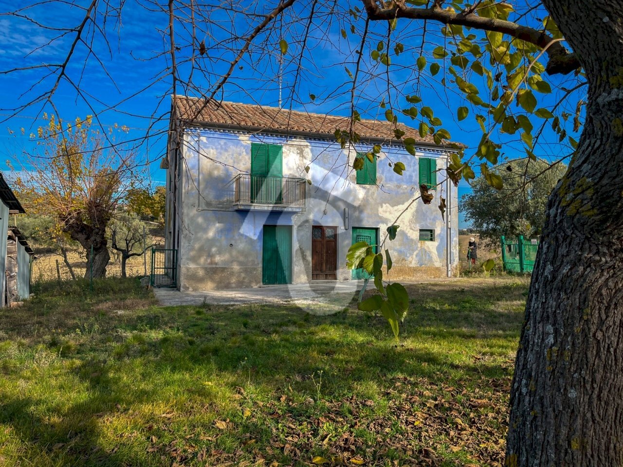 95DA9E86-123D-4654-AEC4-B951A64CCAC2.jpeg - Casale Belvedere Ostrense - photo 1