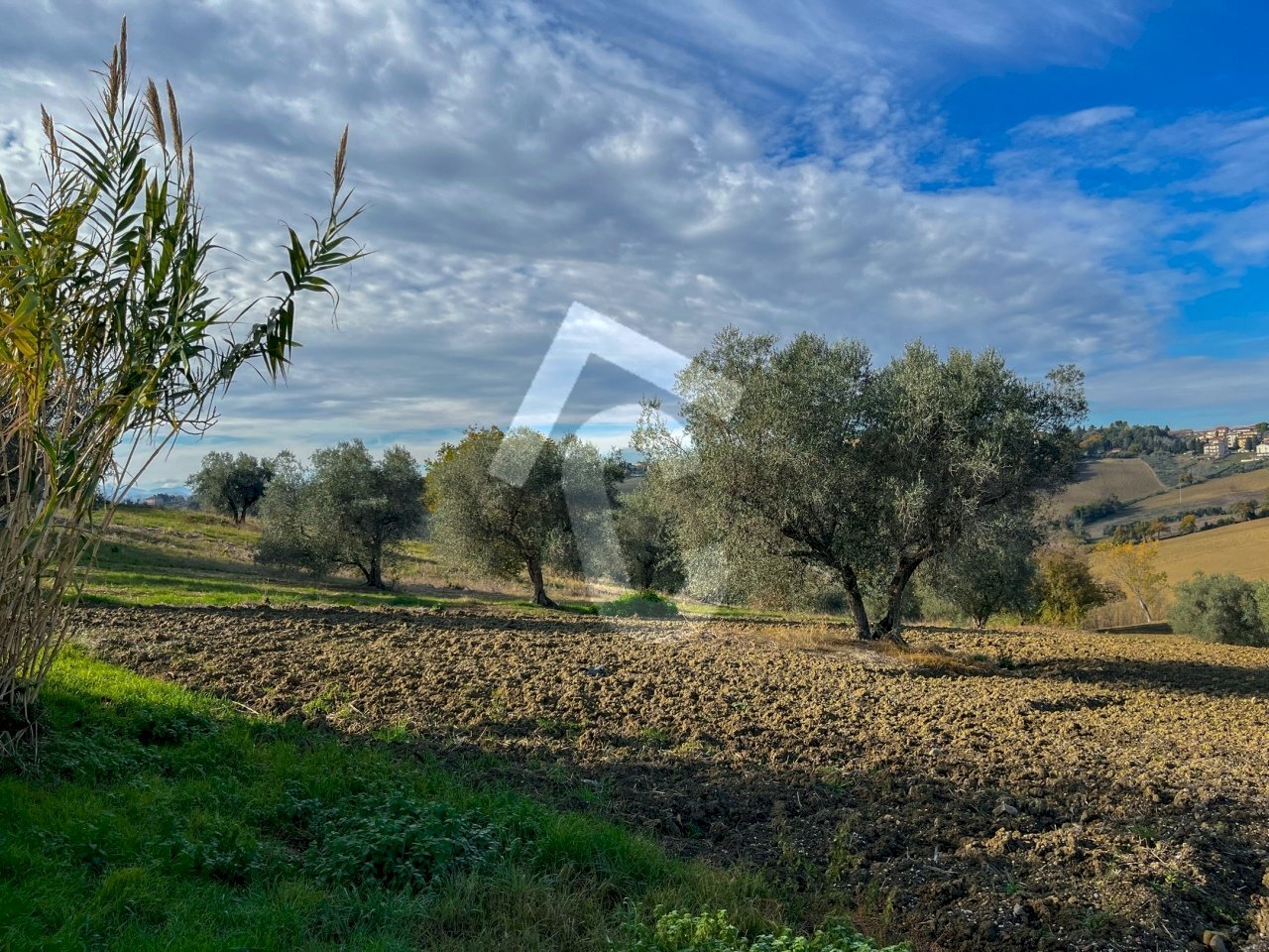 943655F7-AF6B-42F2-B52C-174A9FEFDB32.jpeg - Casale Belvedere Ostrense - photo 2