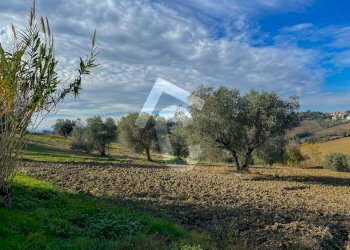 943655F7-AF6B-42F2-B52C-174A9FEFDB32.jpeg - Casale Belvedere Ostrense - foto 2