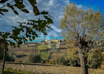 645E72AB-11A3-483E-BF6A-F941155B5F92.jpeg - Casale Belvedere Ostrense - foto 4