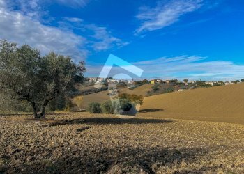 F6584E32-4212-4ACC-912E-43557D1D9336.jpeg - Casale Belvedere Ostrense - foto 6