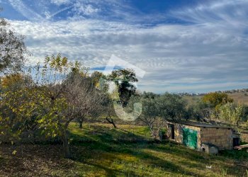 C16E7C3F-E663-4F4A-A591-B57784C992F1.jpeg - Casale Belvedere Ostrense - foto 11