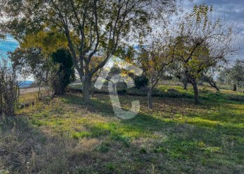 9405EA34-3A73-4AB0-A6F1-C73EA2D504CD.jpeg - Casale Belvedere Ostrense - foto 27