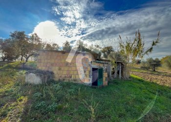 B2DD2417-98E1-4747-AFDC-5559F6306FB0.jpeg - Casale Belvedere Ostrense - foto 29