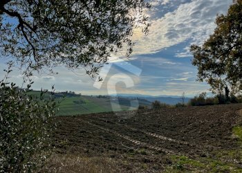 39C7108A-09FC-4BBA-81F4-31BCDAC41E04.jpeg - Casale Belvedere Ostrense - foto 30