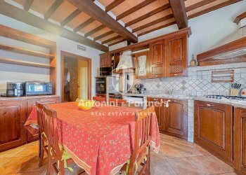 casale il pettirosso 9.jpg - Casale Vocabolo Mandoleto, Città della Pieve - foto 10