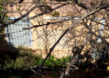 1000273939.jpg - Appartamento Via G. di Vittorio 3, Morlupo - foto 27