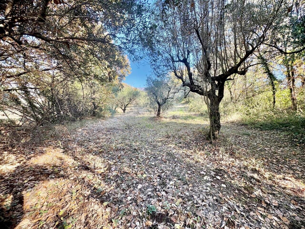 WhatsApp Image 2025-12-10 at 13.49.35 (1).jpeg - Terreno agricolo Via dei Caolini snc, Marcellina - foto 2