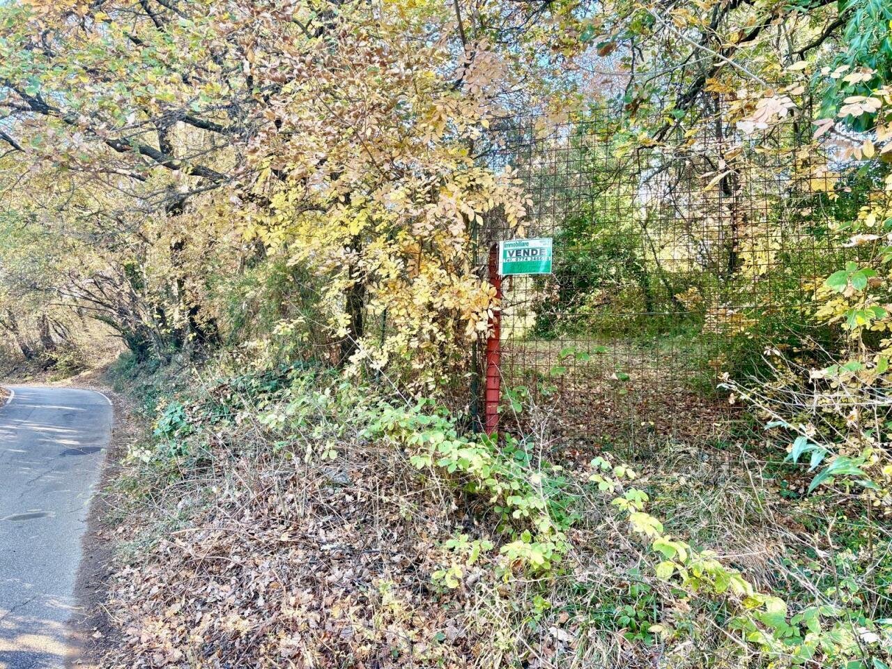 WhatsApp Image 2025-12-10 at 13.49.35.jpeg - Terreno agricolo Via dei Caolini snc, Marcellina - foto 3