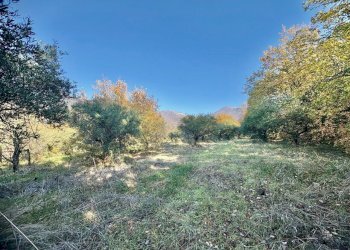 WhatsApp Image 2025-12-10 at 13.49.38 (1).jpeg - Terreno agricolo Via dei Caolini snc, Marcellina - foto 1