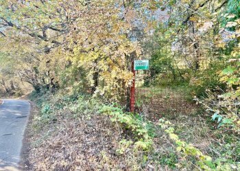 WhatsApp Image 2025-12-10 at 13.49.35.jpeg - Terreno agricolo Via dei Caolini snc, Marcellina - foto 3