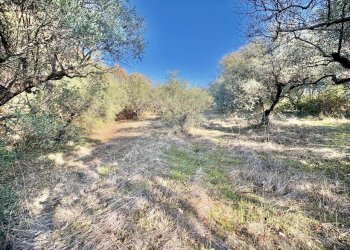 WhatsApp Image 2025-12-10 at 13.49.36.jpeg - Terreno agricolo Via dei Caolini snc, Marcellina - foto 4