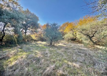 WhatsApp Image 2025-12-10 at 13.49.37 (1).jpeg - Terreno agricolo Via dei Caolini snc, Marcellina - foto 5