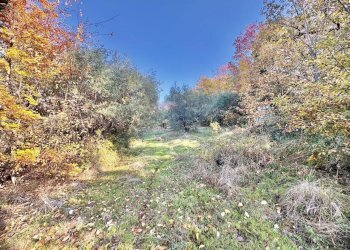 WhatsApp Image 2025-12-10 at 13.49.37 (2).jpeg - Terreno agricolo Via dei Caolini snc, Marcellina - foto 6